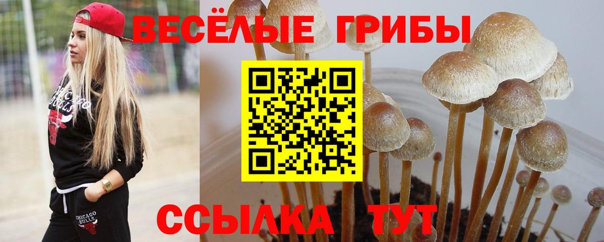 Шарыпово  Псилоцибиновые грибы GOLDEN TEACHER  Вход с VPN 