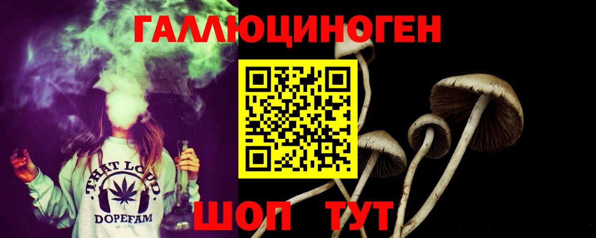 Псилоцибиновые грибы ЛСД Шарыпово